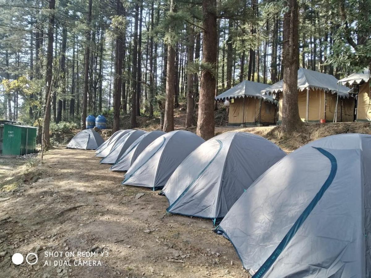 HimtrekStays,Mcleodganj McLeod Ganj Eksteriør billede