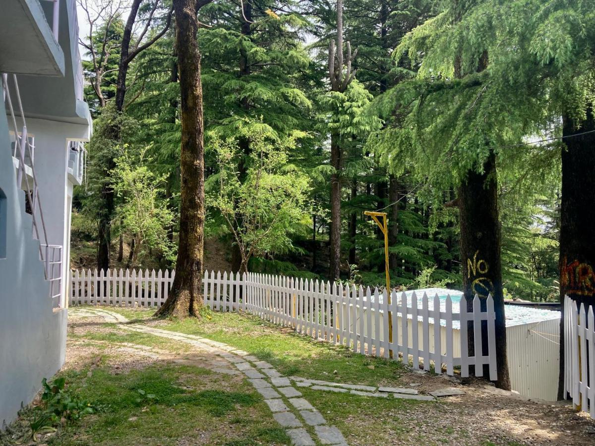 HimtrekStays,Mcleodganj McLeod Ganj Eksteriør billede