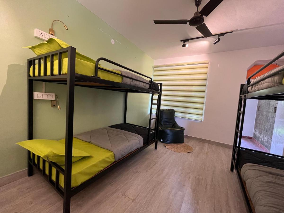 HimtrekStays,Mcleodganj McLeod Ganj Eksteriør billede