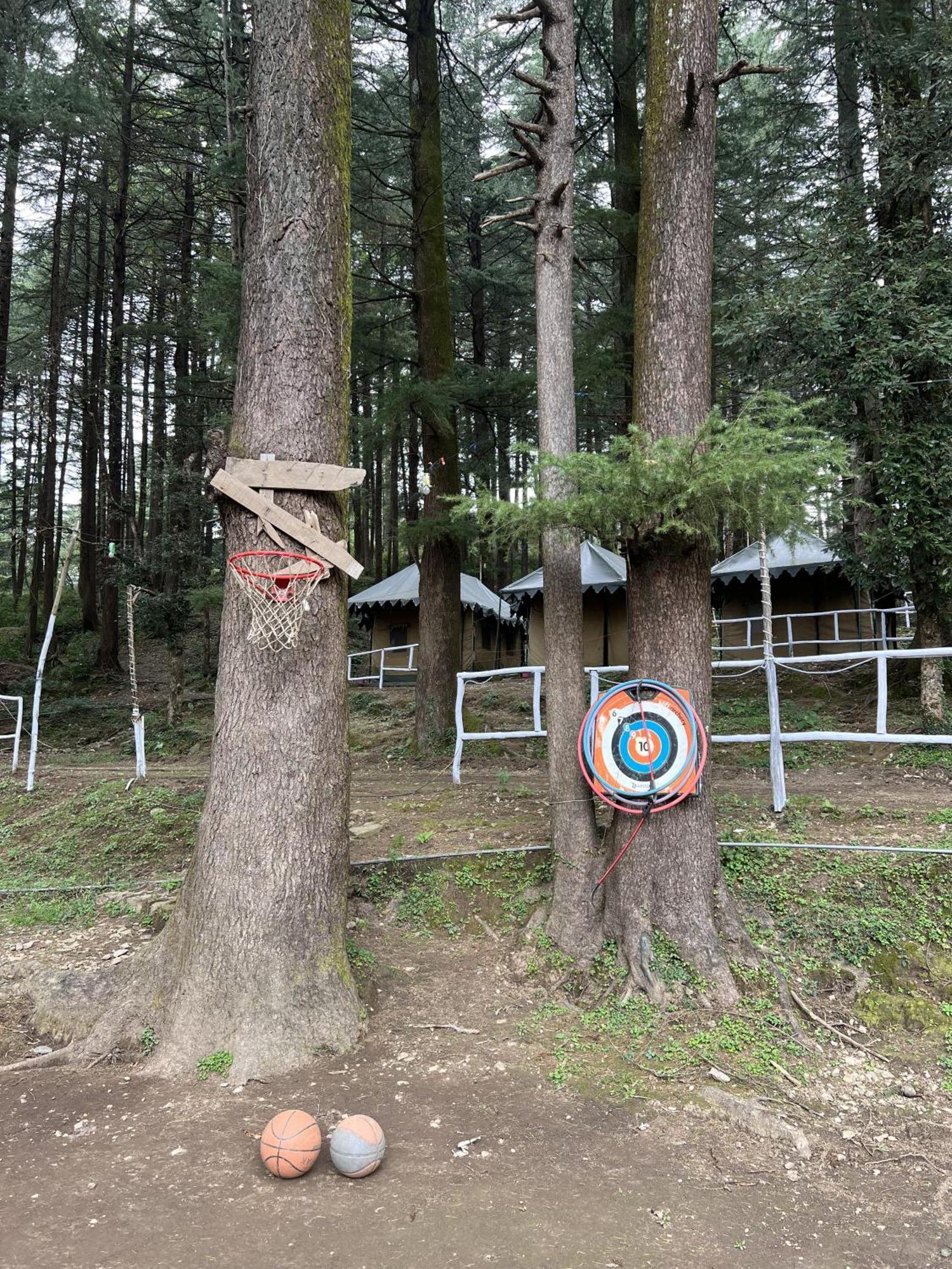 HimtrekStays,Mcleodganj McLeod Ganj Eksteriør billede