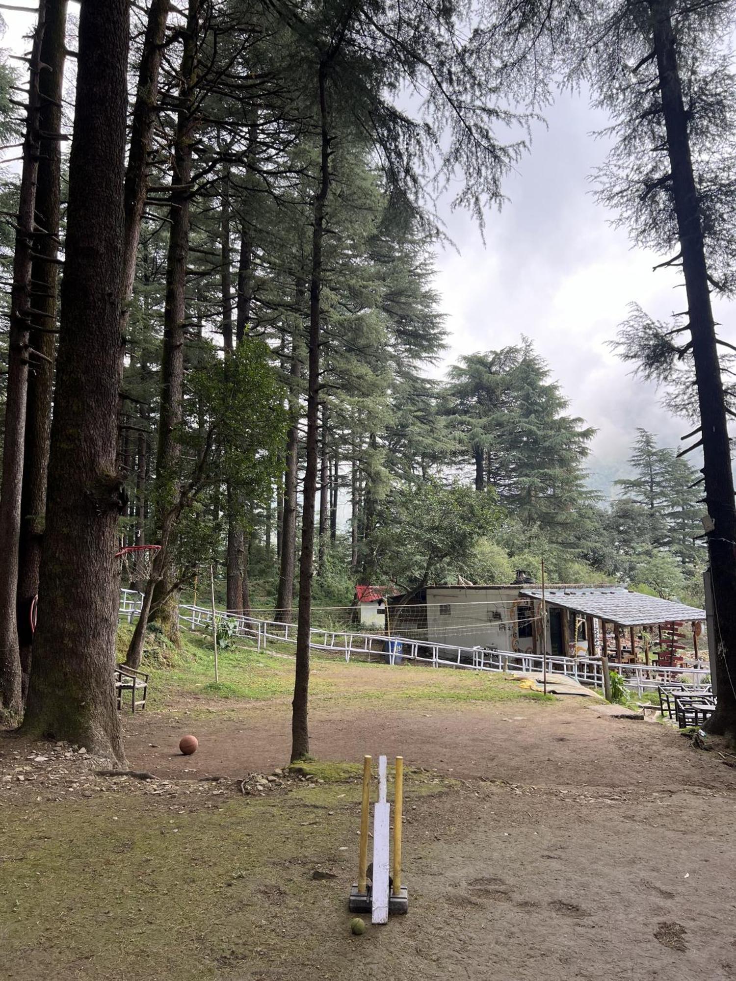 HimtrekStays,Mcleodganj McLeod Ganj Eksteriør billede
