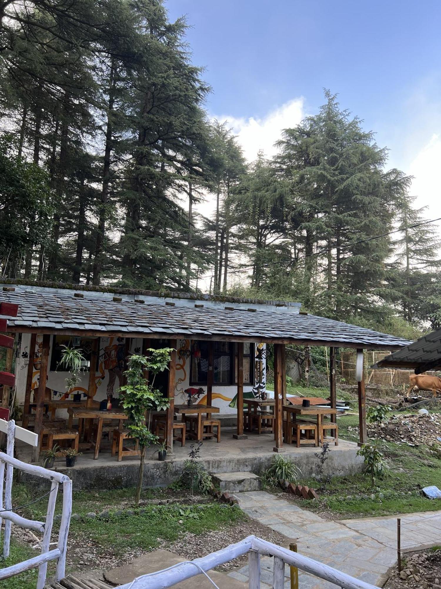 HimtrekStays,Mcleodganj McLeod Ganj Eksteriør billede