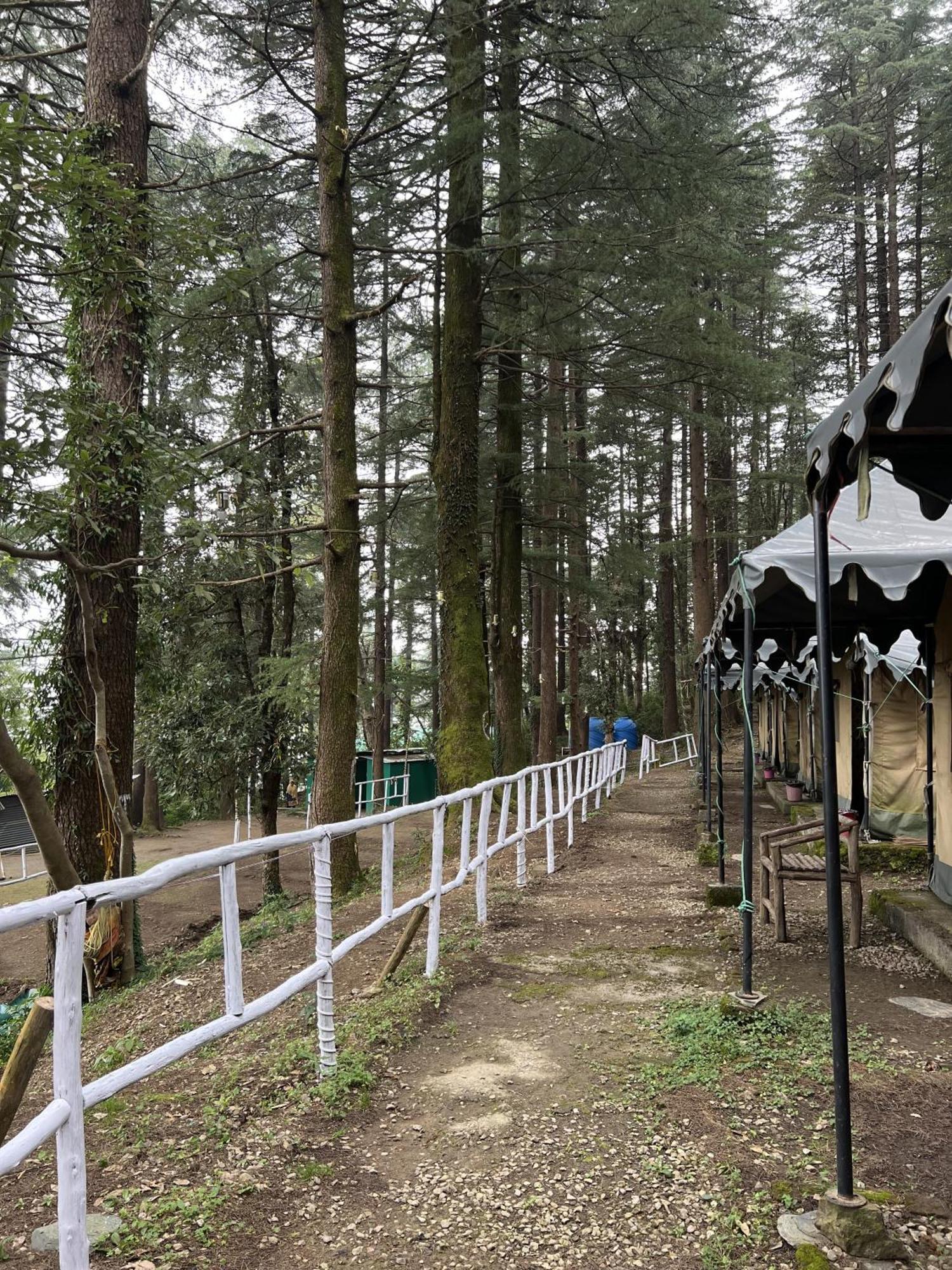 HimtrekStays,Mcleodganj McLeod Ganj Eksteriør billede