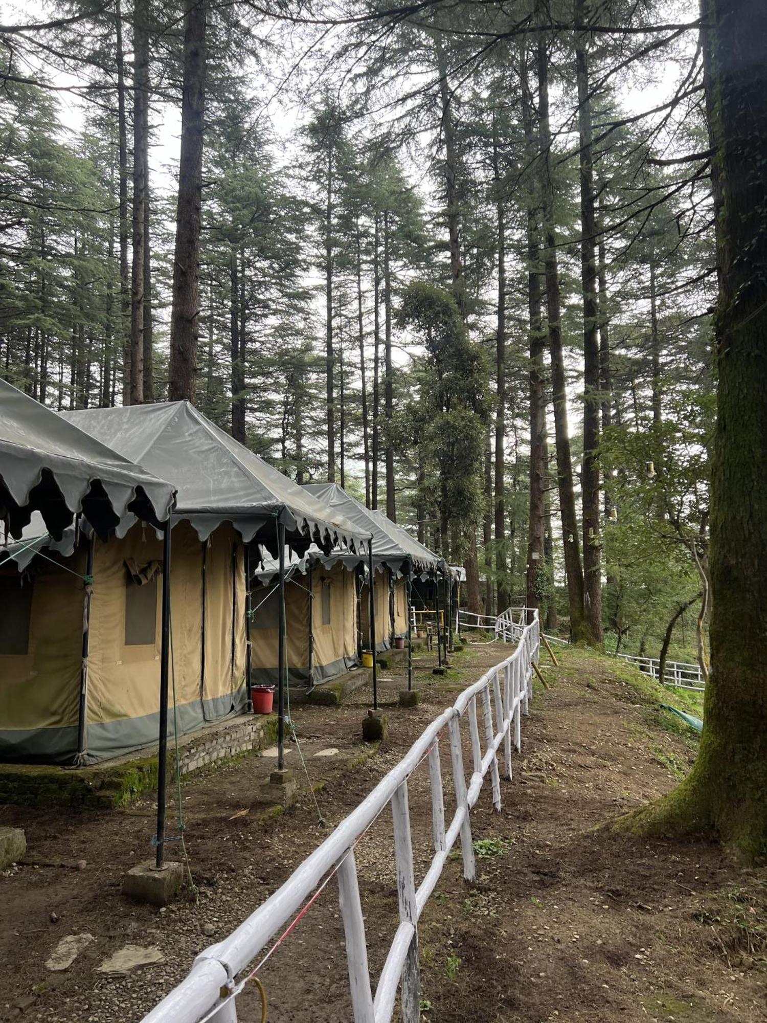 HimtrekStays,Mcleodganj McLeod Ganj Eksteriør billede