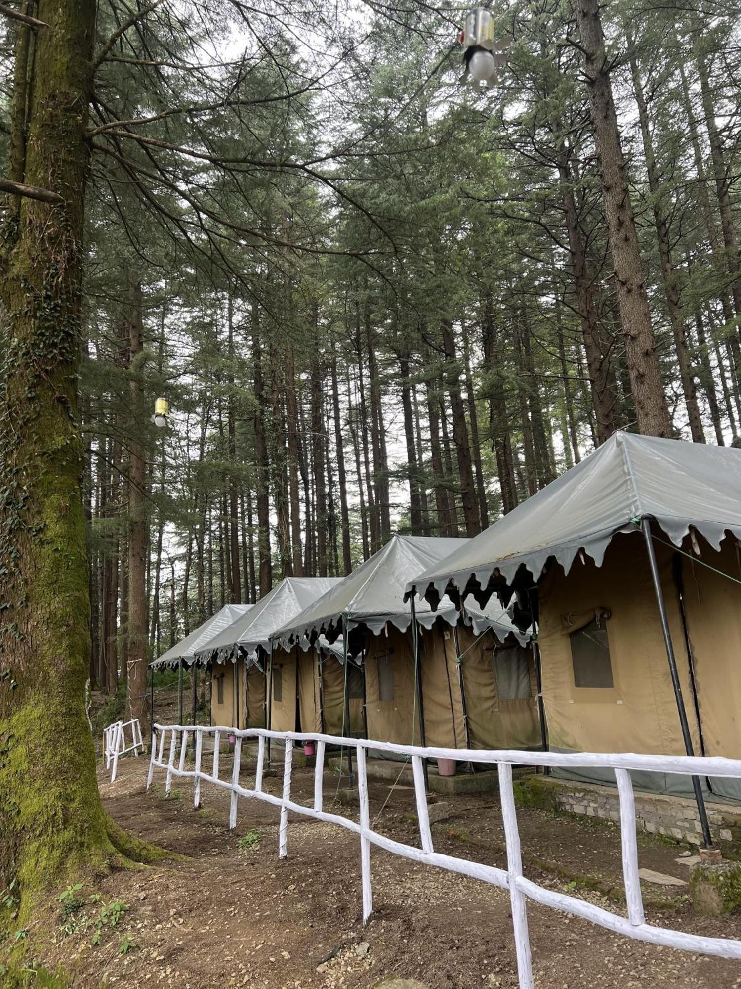 HimtrekStays,Mcleodganj McLeod Ganj Eksteriør billede