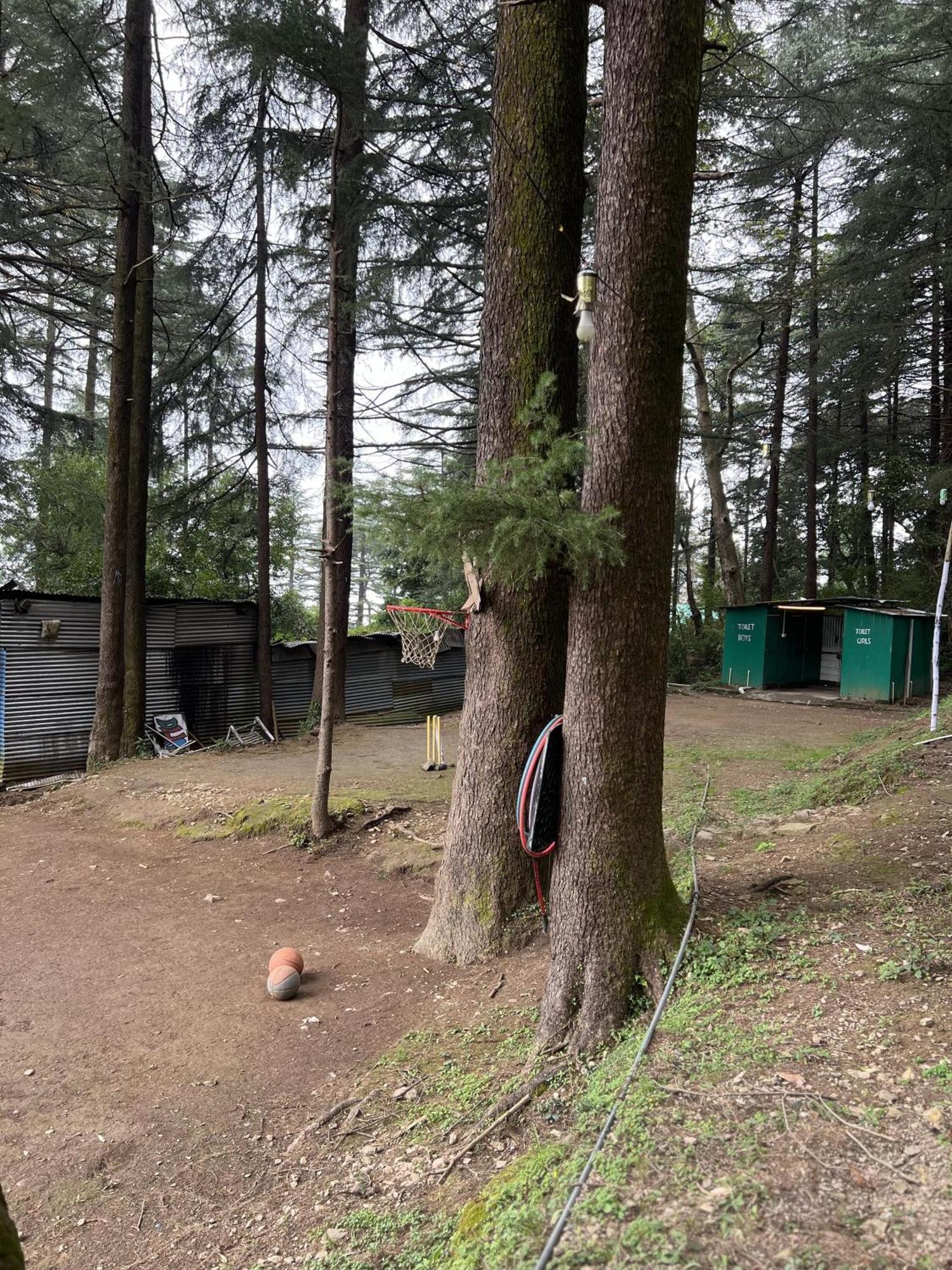 HimtrekStays,Mcleodganj McLeod Ganj Eksteriør billede