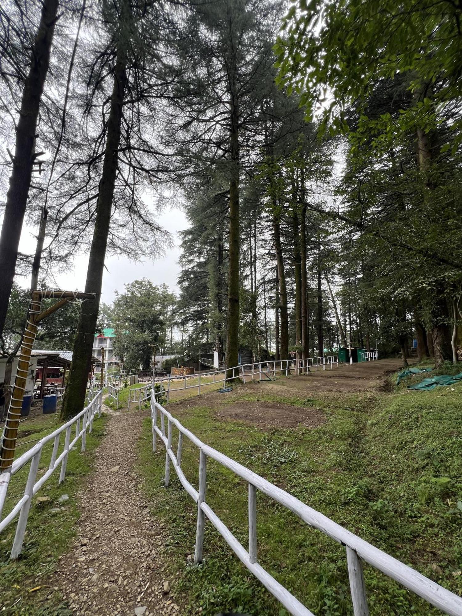 HimtrekStays,Mcleodganj McLeod Ganj Eksteriør billede