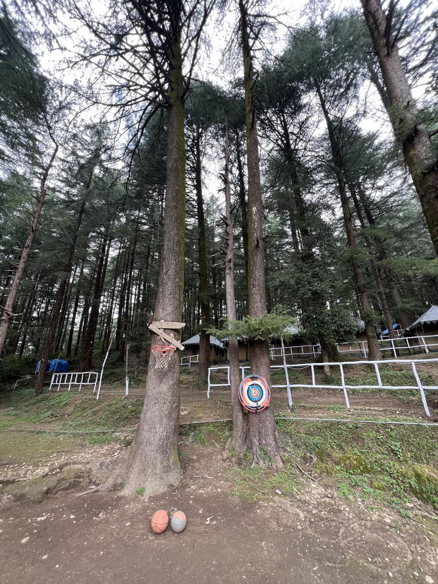 HimtrekStays,Mcleodganj McLeod Ganj Eksteriør billede