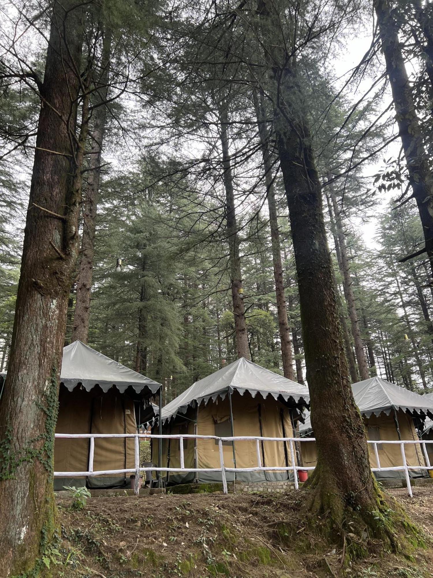 HimtrekStays,Mcleodganj McLeod Ganj Eksteriør billede