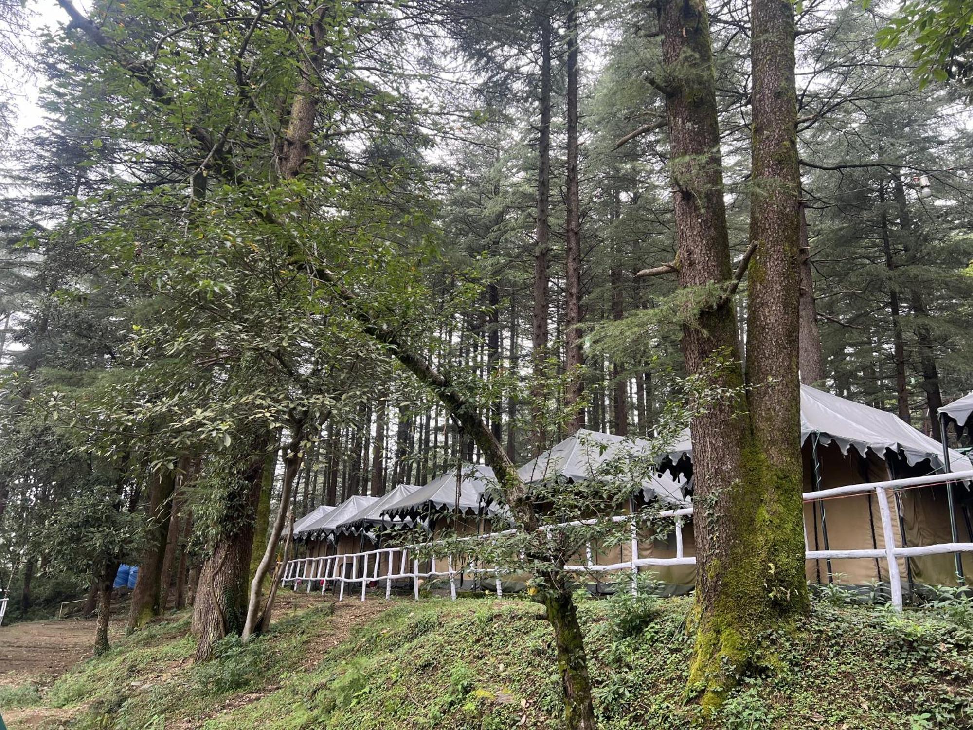 HimtrekStays,Mcleodganj McLeod Ganj Eksteriør billede