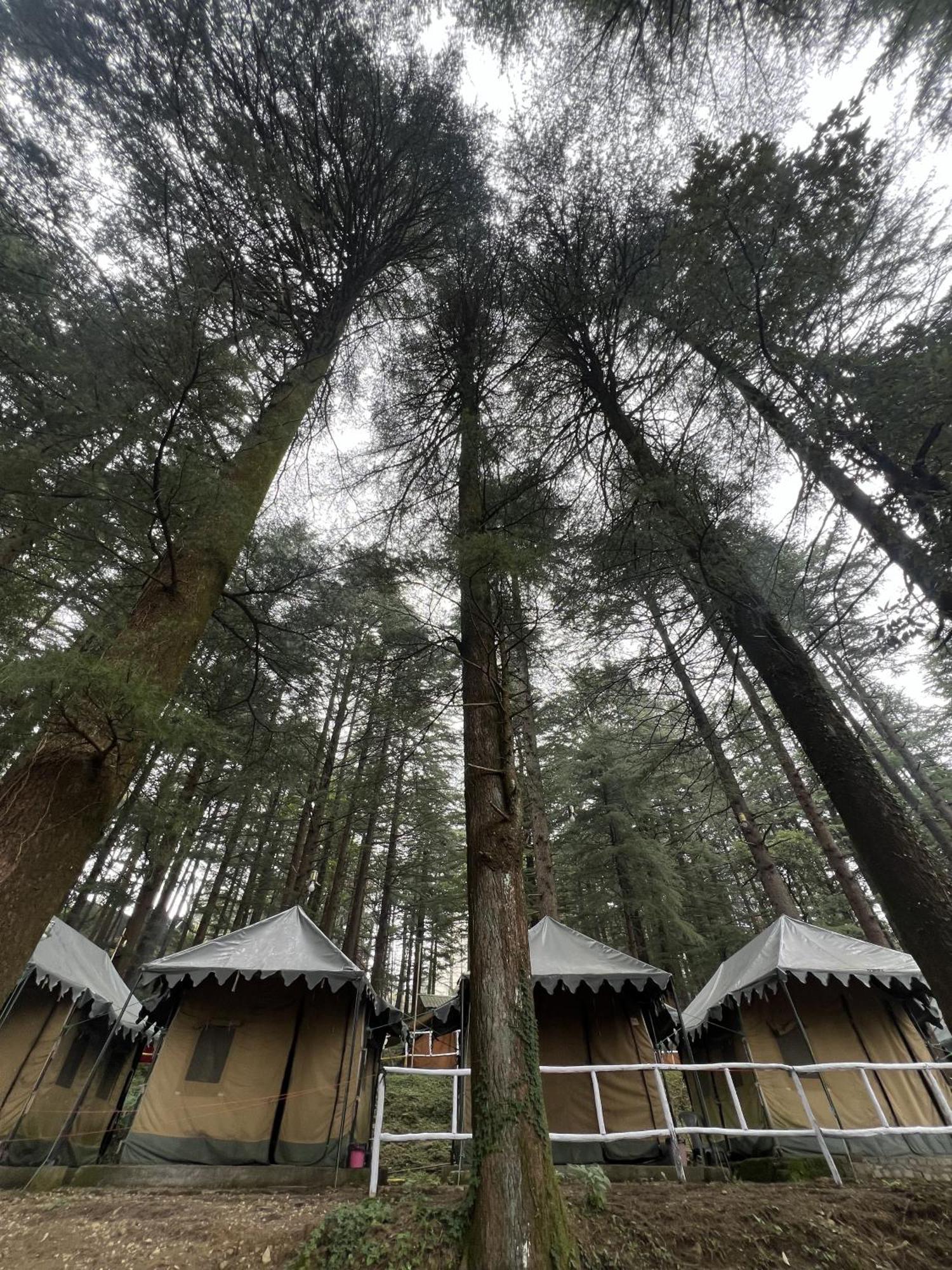 HimtrekStays,Mcleodganj McLeod Ganj Eksteriør billede