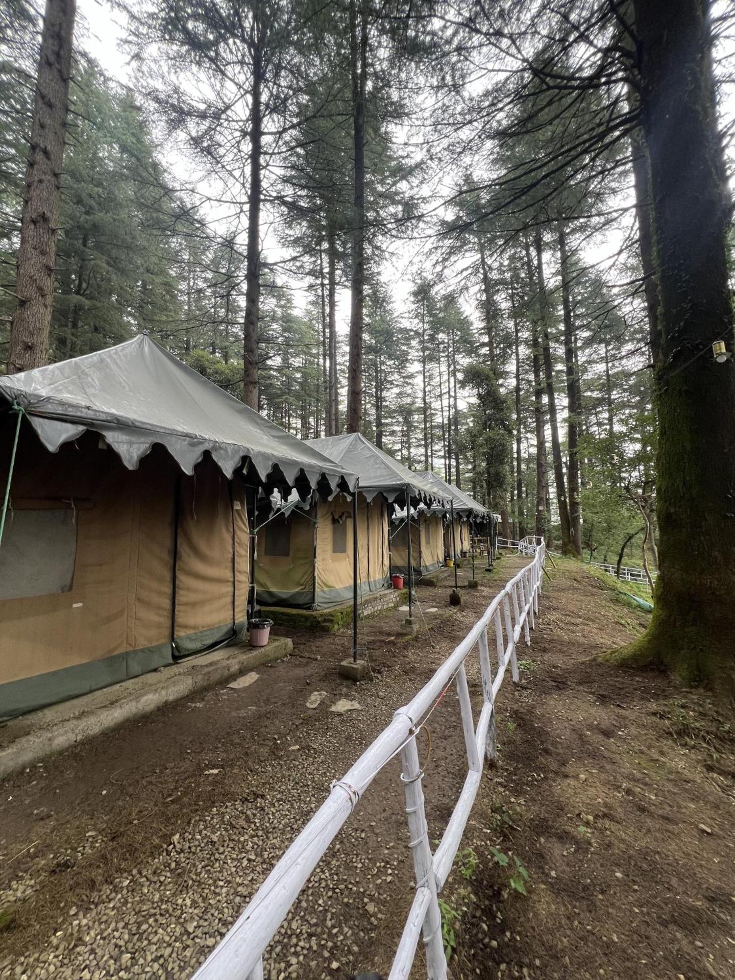 HimtrekStays,Mcleodganj McLeod Ganj Eksteriør billede