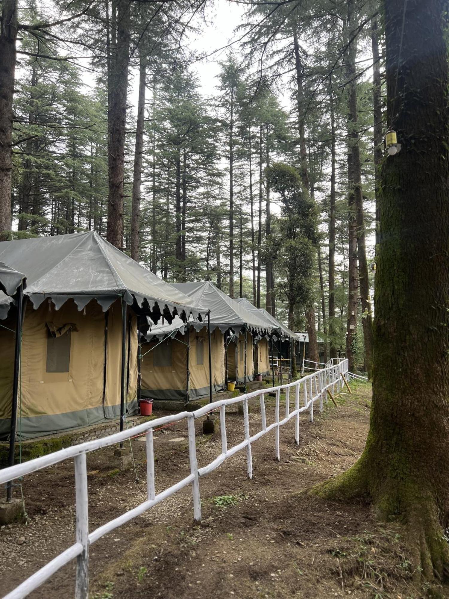HimtrekStays,Mcleodganj McLeod Ganj Eksteriør billede