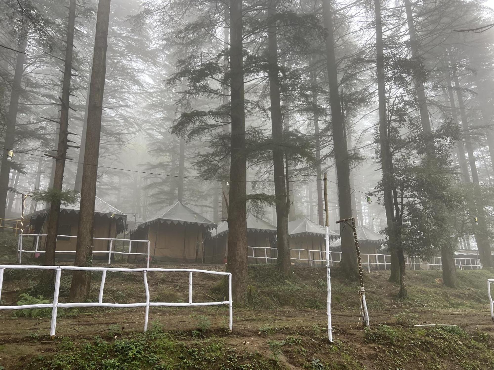 HimtrekStays,Mcleodganj McLeod Ganj Eksteriør billede