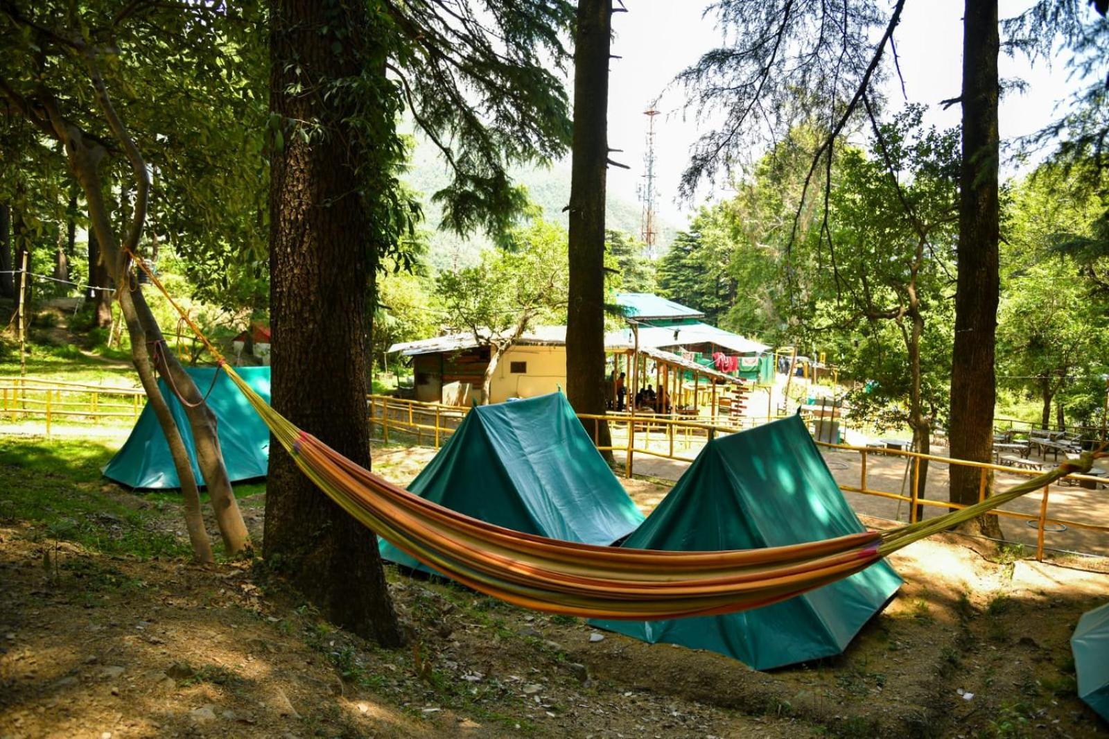HimtrekStays,Mcleodganj McLeod Ganj Eksteriør billede